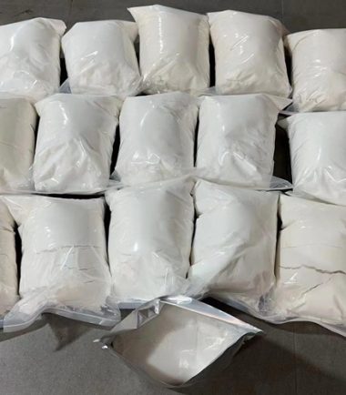 Dimethocaine Hydrochloride